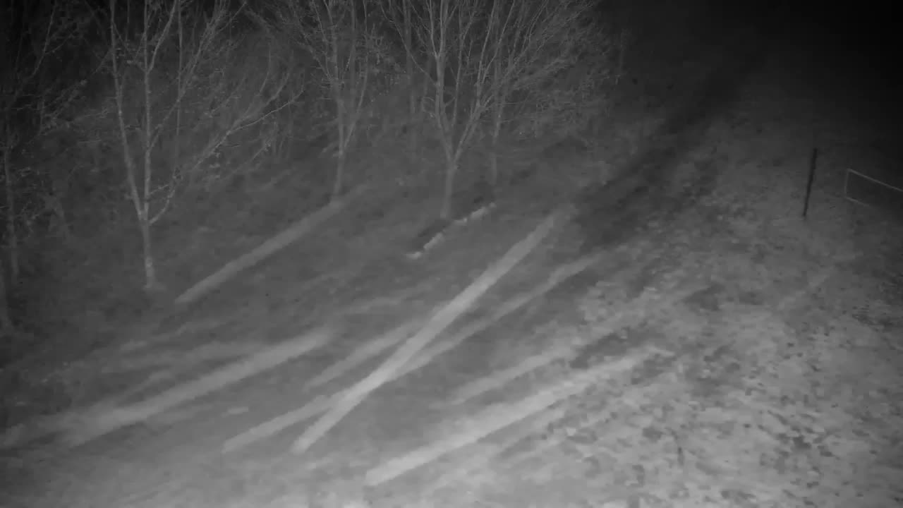 Webcam Ribnik Vrbje – Žalec