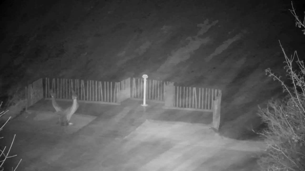 Webcam Ribnik Vrbje – Žalec