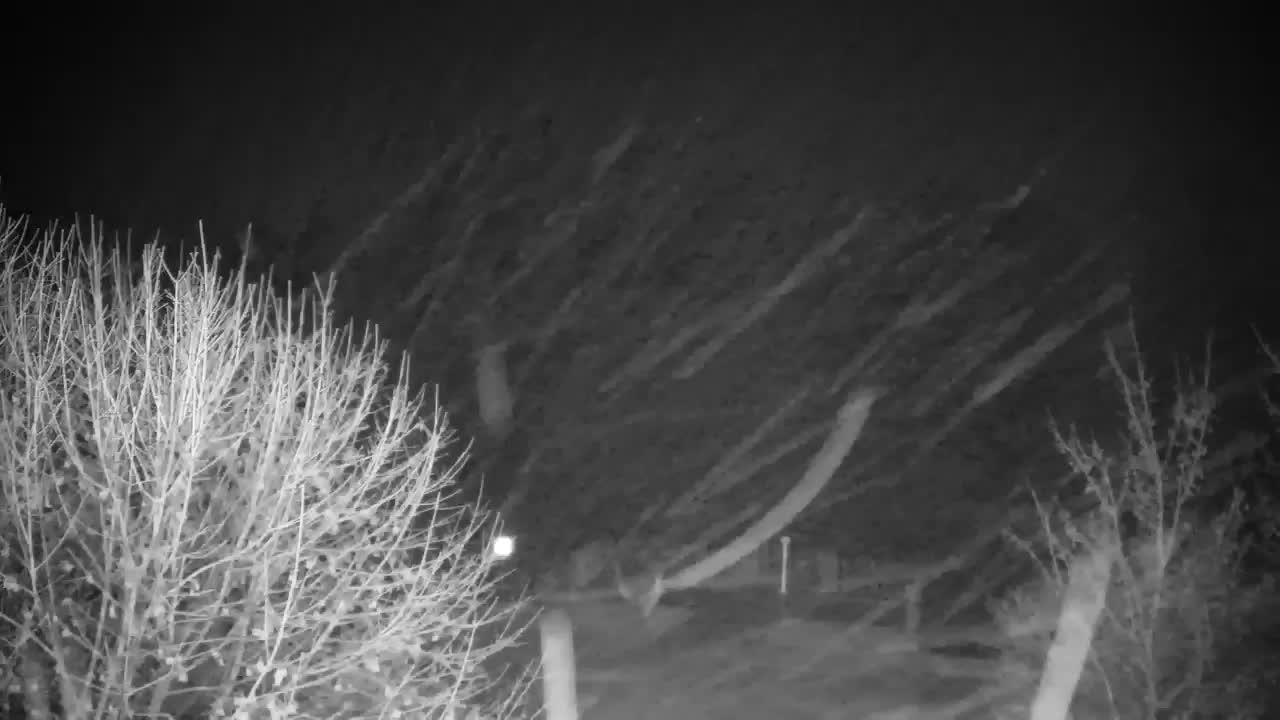 Webcam Ribnik Vrbje – Žalec