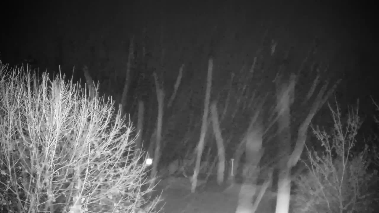 Webcam Ribnik Vrbje – Žalec