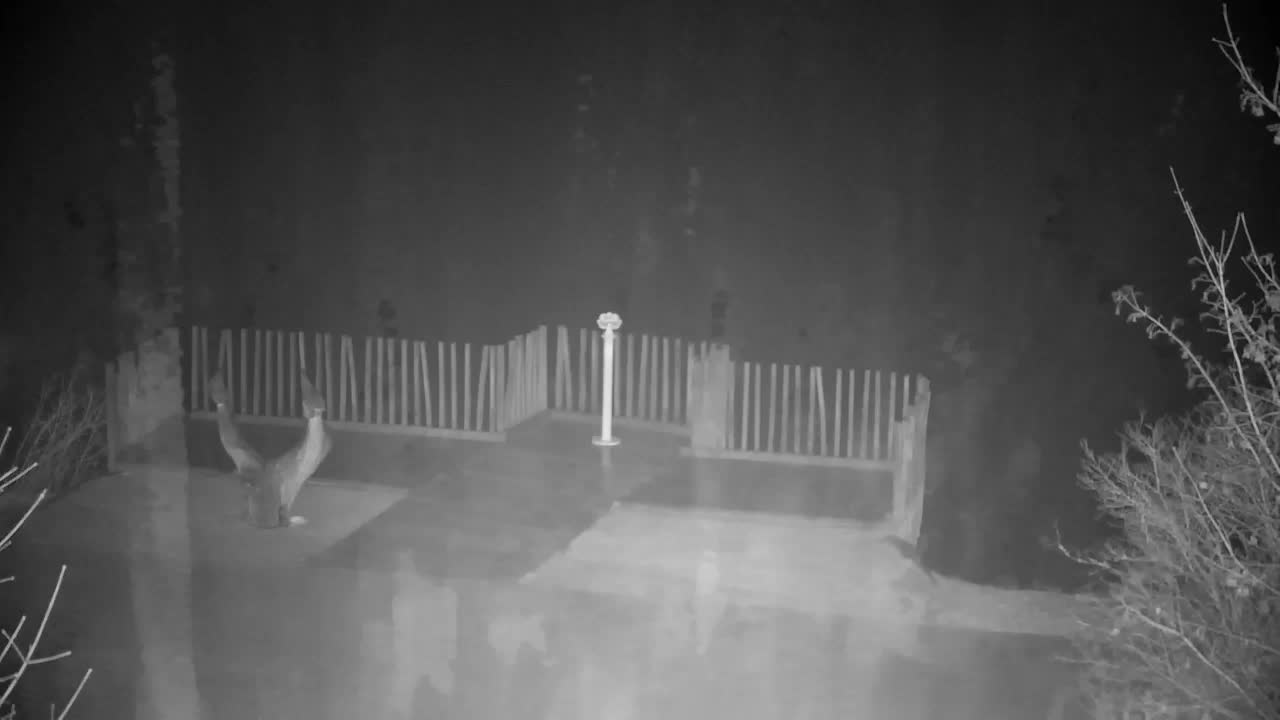 Spletna kamera Ribnik Vrbje – Žalec