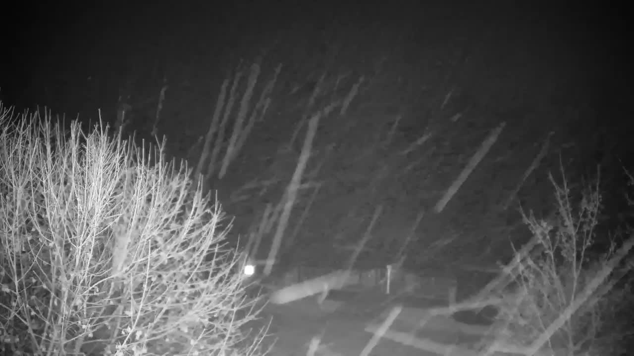 Webcam Ribnik Vrbje – Žalec