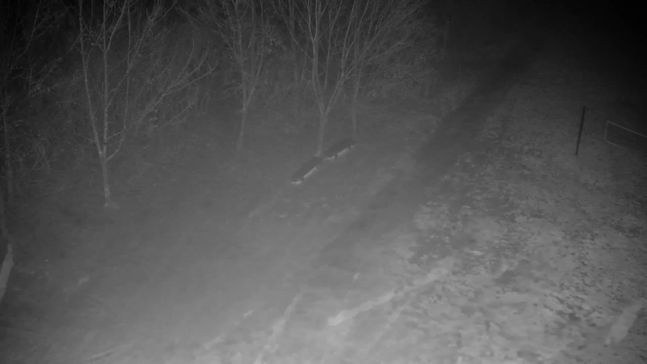 Webcam Ribnik Vrbje – Žalec