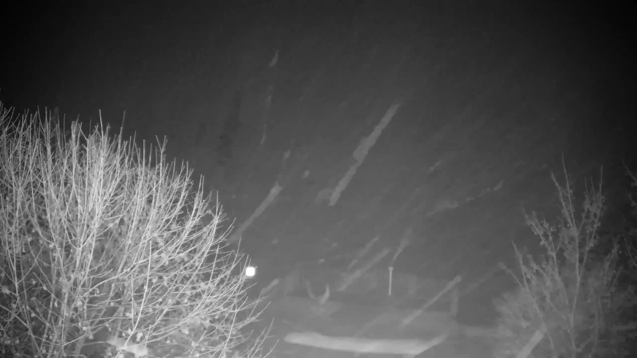 Webcam Ribnik Vrbje – Žalec