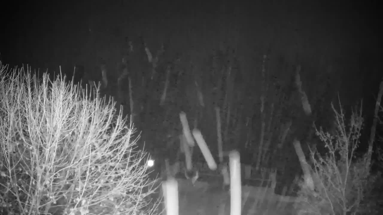 Webcam Ribnik Vrbje – Žalec