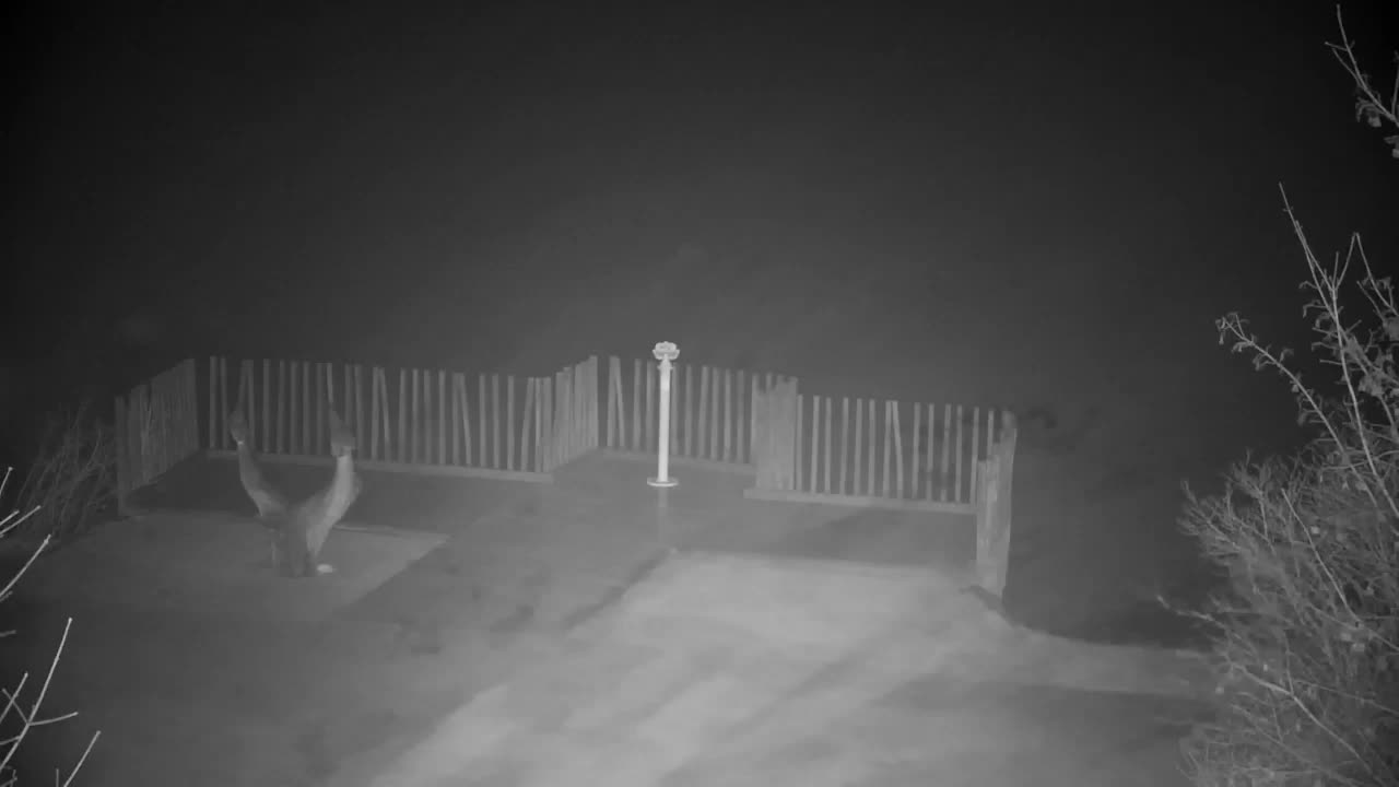 Webcam Ribnik Vrbje – Žalec