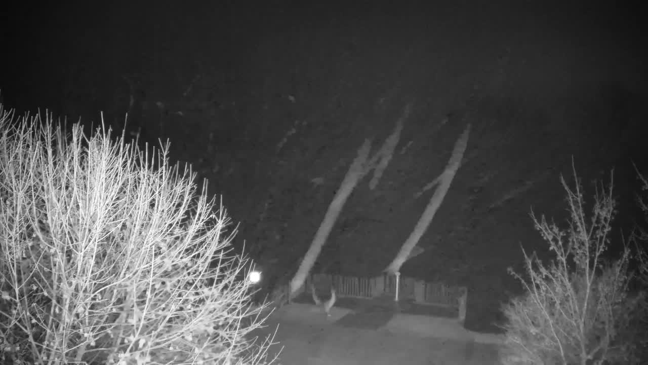 Webcam Ribnik Vrbje – Žalec