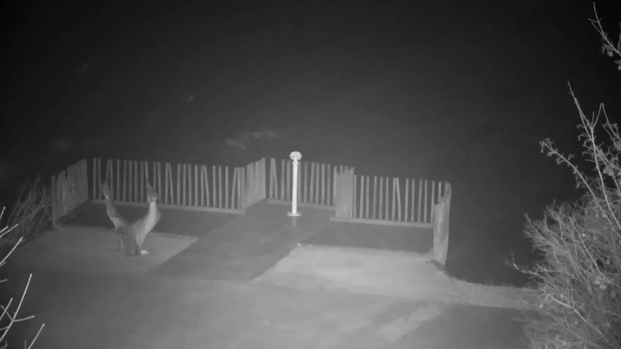 Webcam Ribnik Vrbje – Žalec