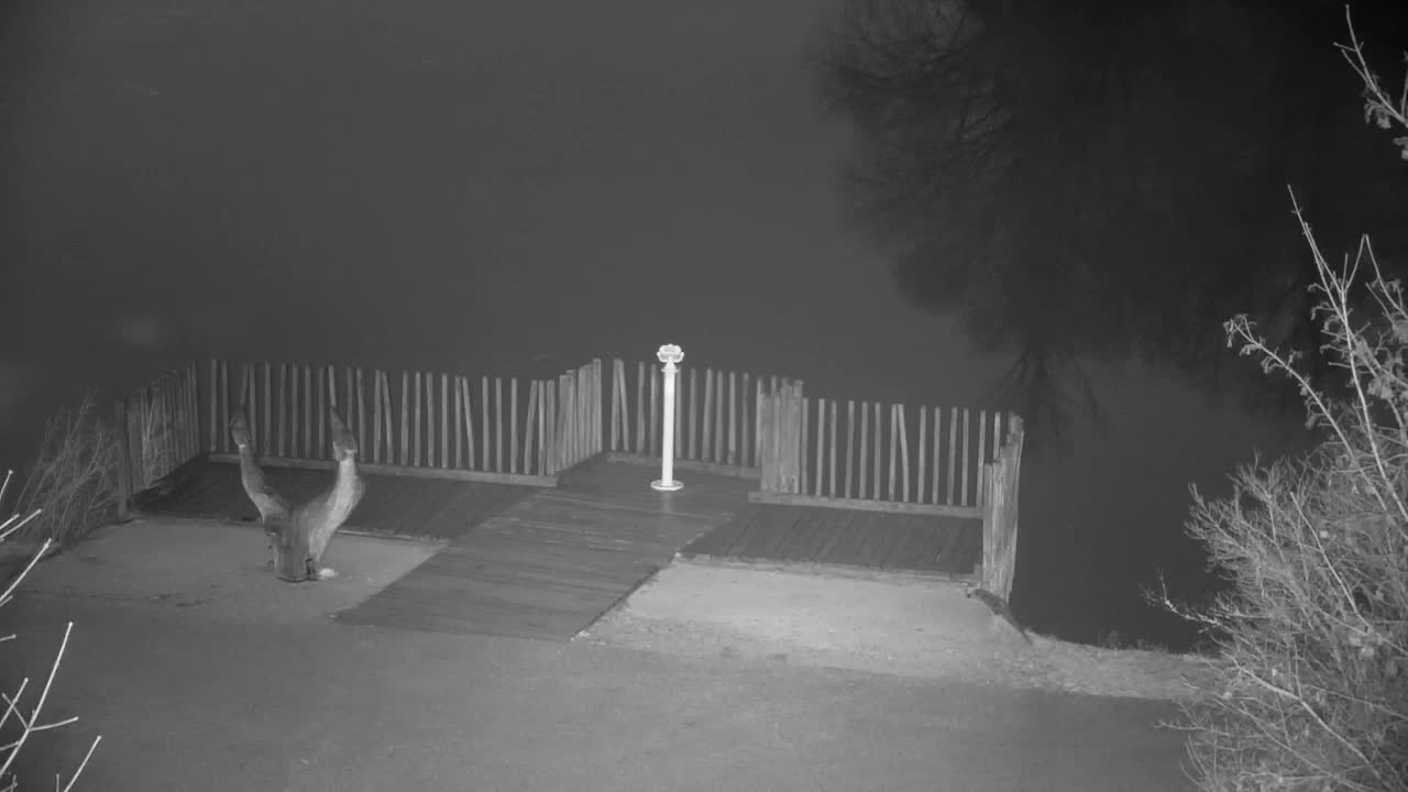 Webcam Ribnik Vrbje – Žalec