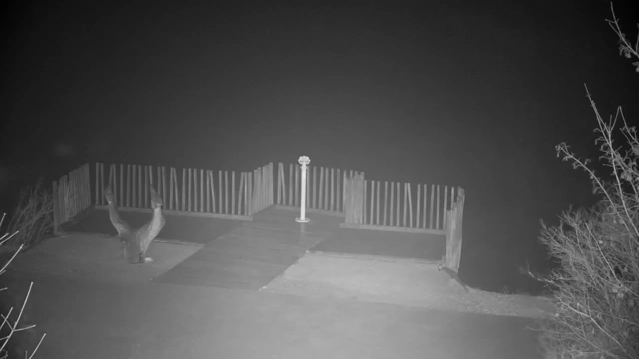 Webcam Ribnik Vrbje – Žalec