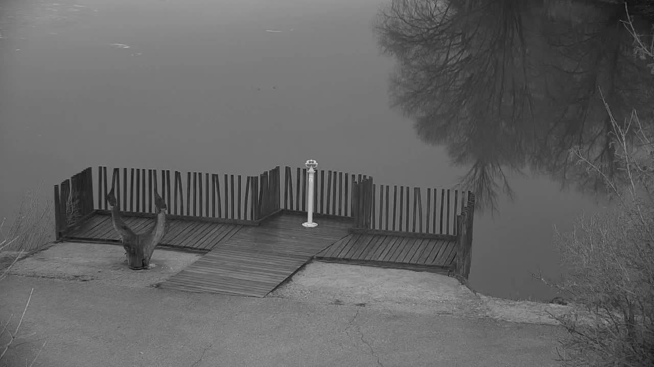 Webcam Ribnik Vrbje – Žalec