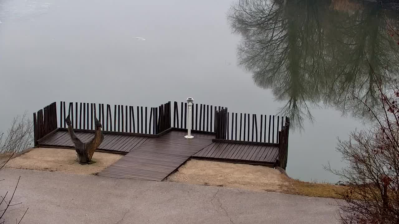 Web kamera Ribnik Vrbje – Žalec