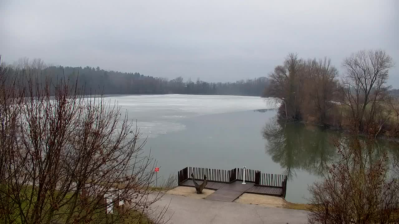 Spletna kamera Ribnik Vrbje – Žalec