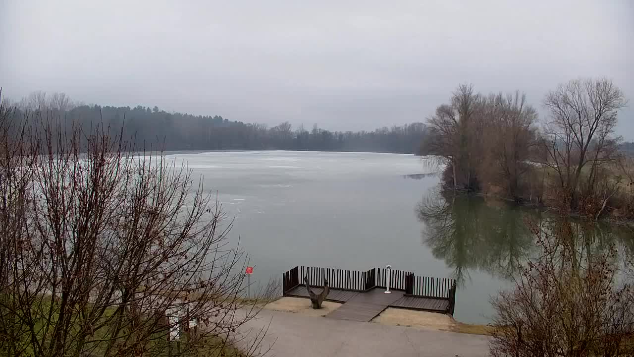 Webcam Ribnik Vrbje – Žalec