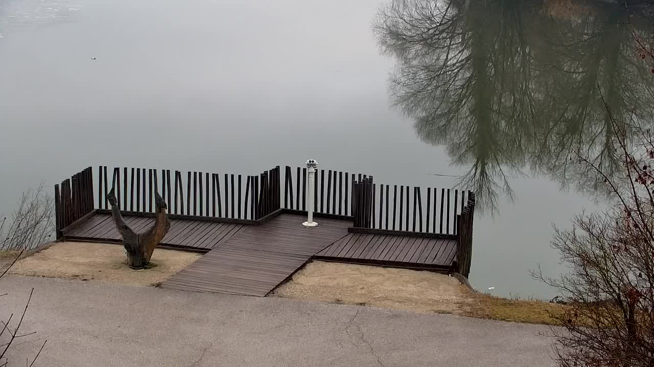 Webcam Ribnik Vrbje – Žalec