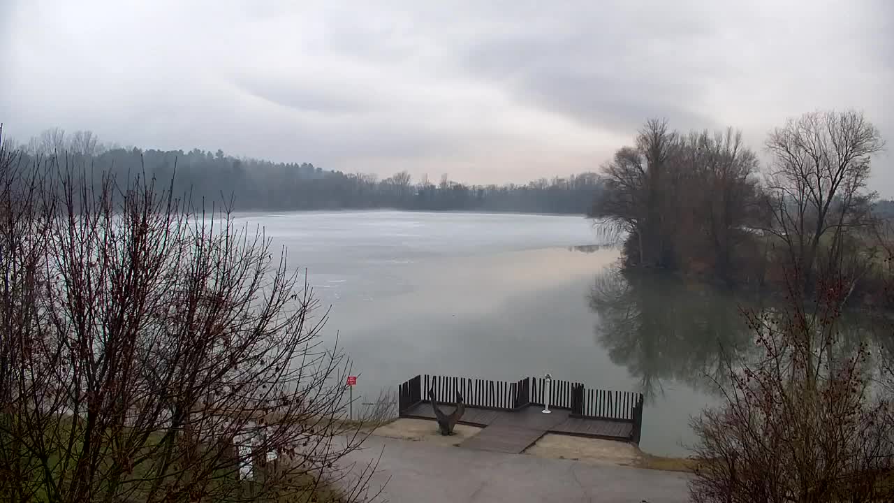 Webcam Ribnik Vrbje – Žalec