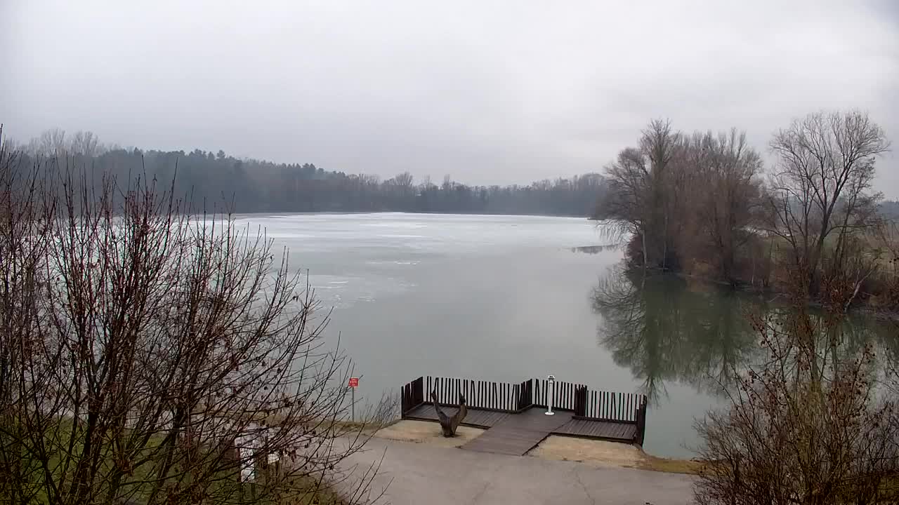 Webcam Ribnik Vrbje – Žalec