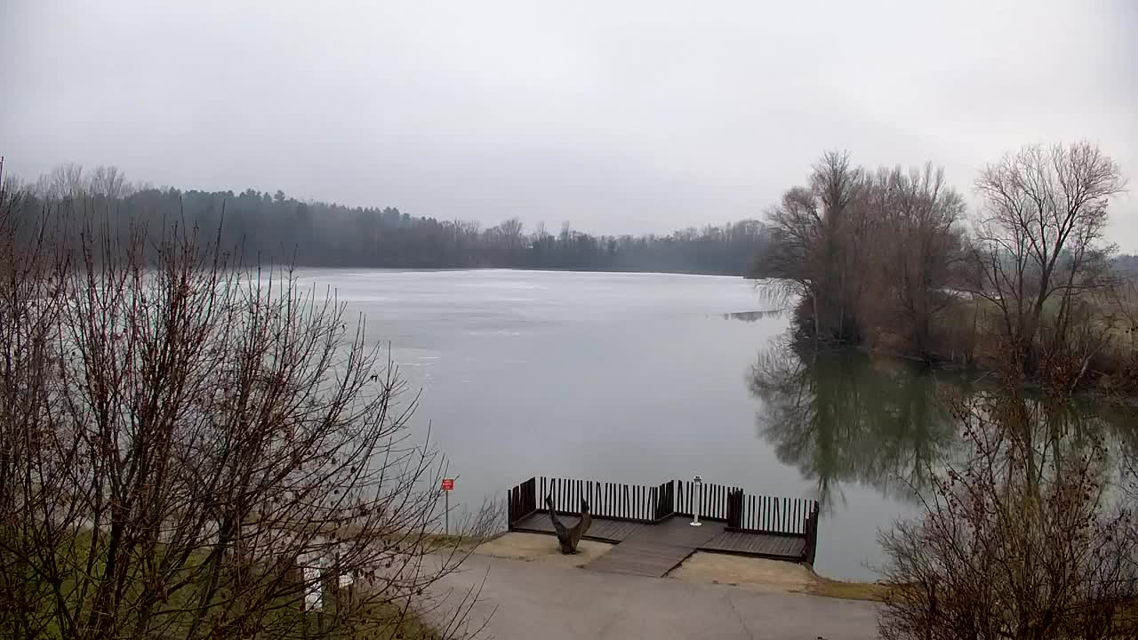 Web kamera Ribnik Vrbje – Žalec