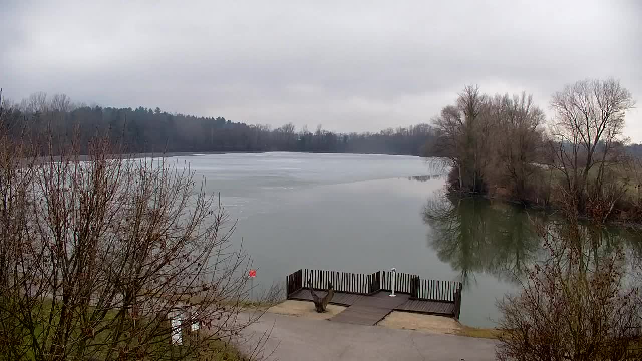 Webcam Ribnik Vrbje – Žalec