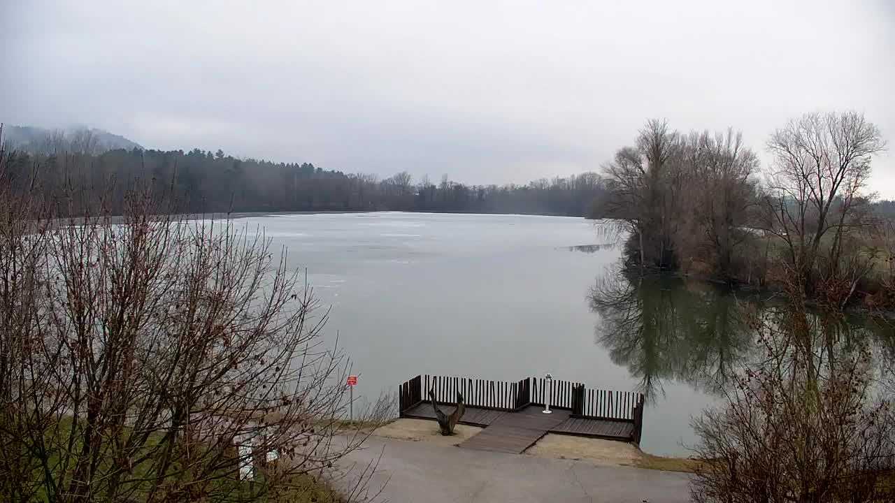 Webcam Ribnik Vrbje – Žalec