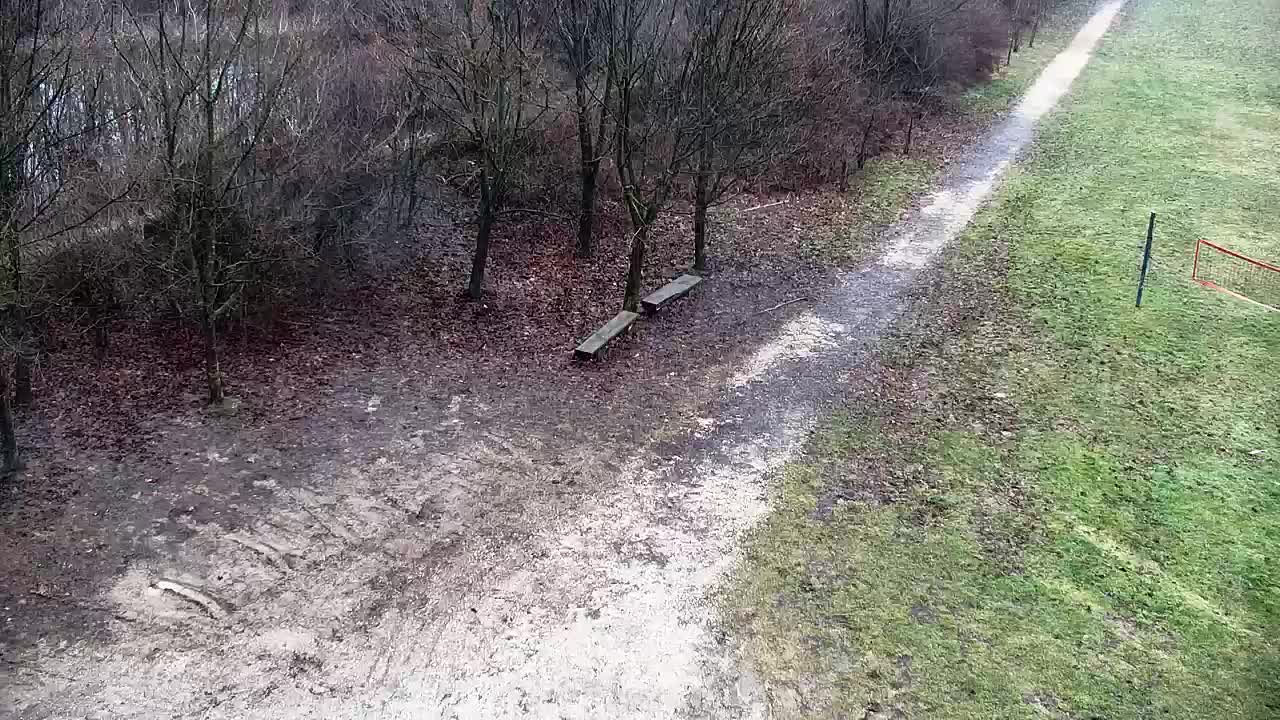 Webcam Ribnik Vrbje – Žalec