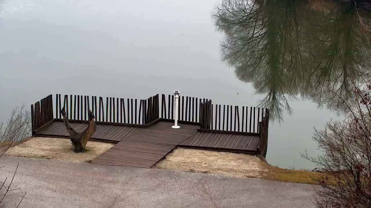 Spletna kamera Ribnik Vrbje – Žalec