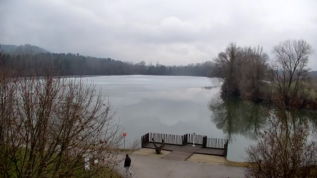 Webcam Ribnik Vrbje – Žalec