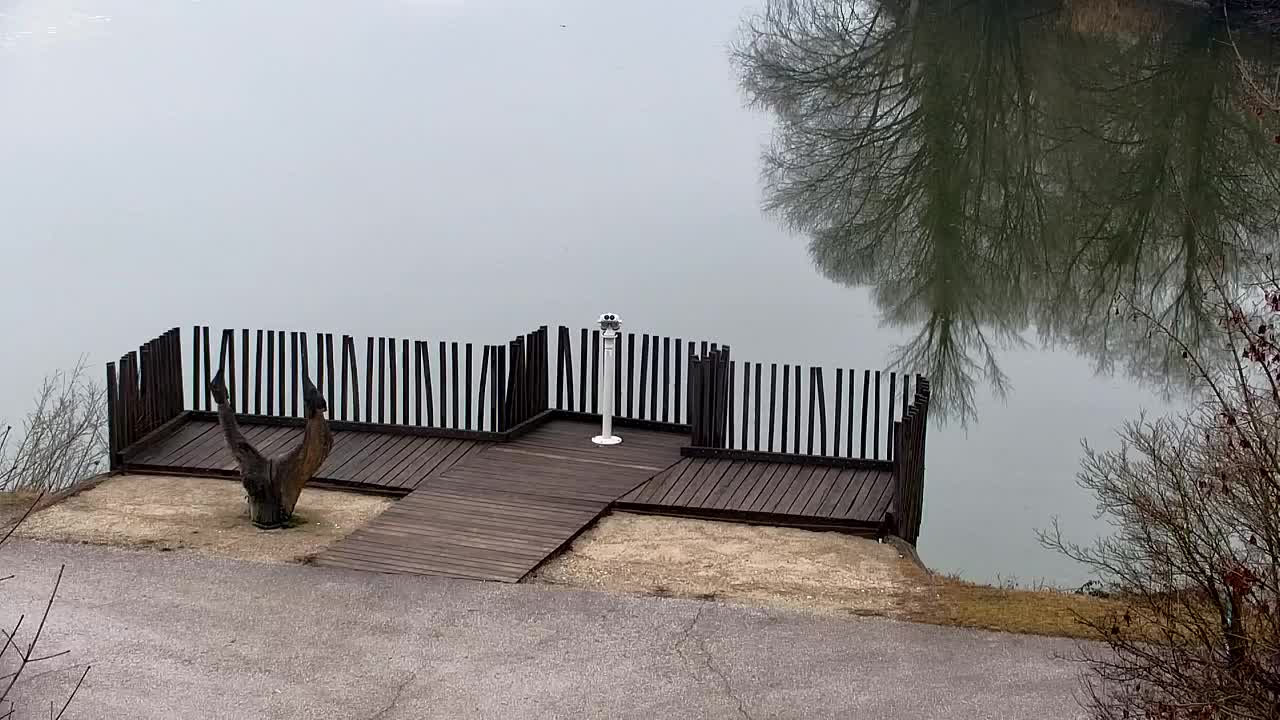 Webcam Ribnik Vrbje – Žalec