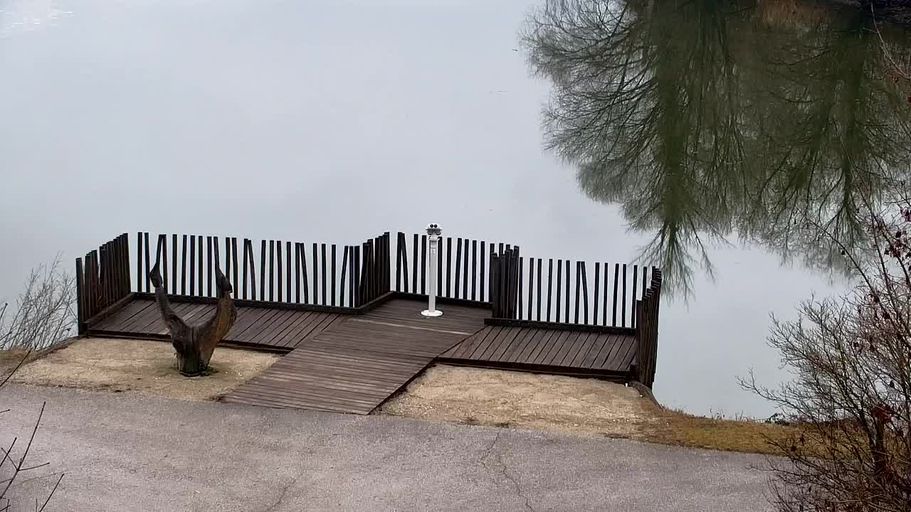 Webcam Ribnik Vrbje – Žalec