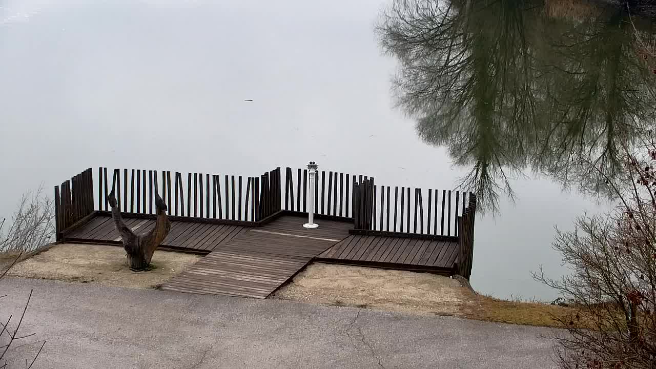 Spletna kamera Ribnik Vrbje – Žalec