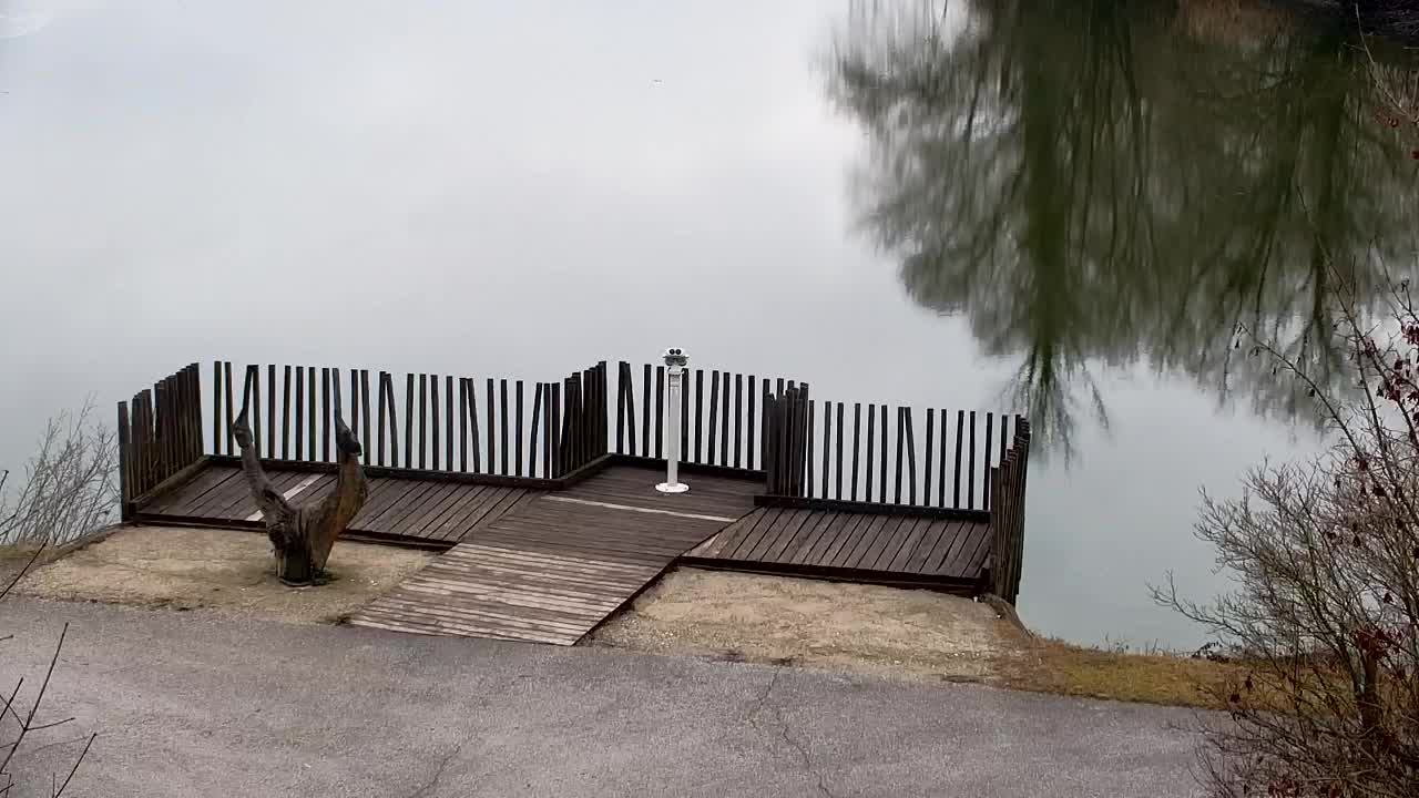 Spletna kamera Ribnik Vrbje – Žalec