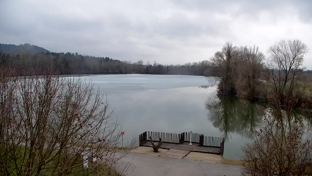 Webcam Ribnik Vrbje – Žalec