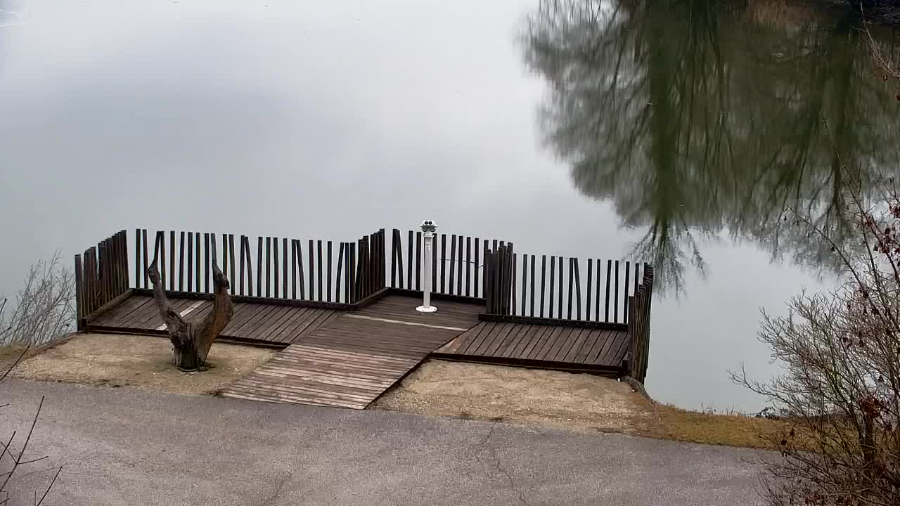 Webcam Ribnik Vrbje – Žalec