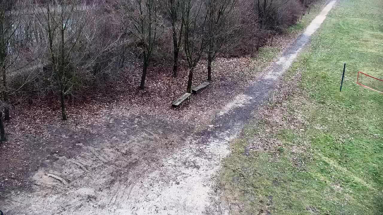 Web kamera Ribnik Vrbje – Žalec