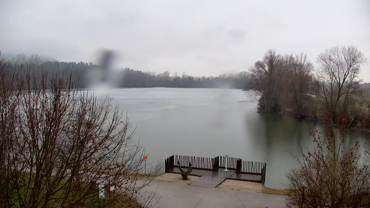 Webcam Ribnik Vrbje – Žalec