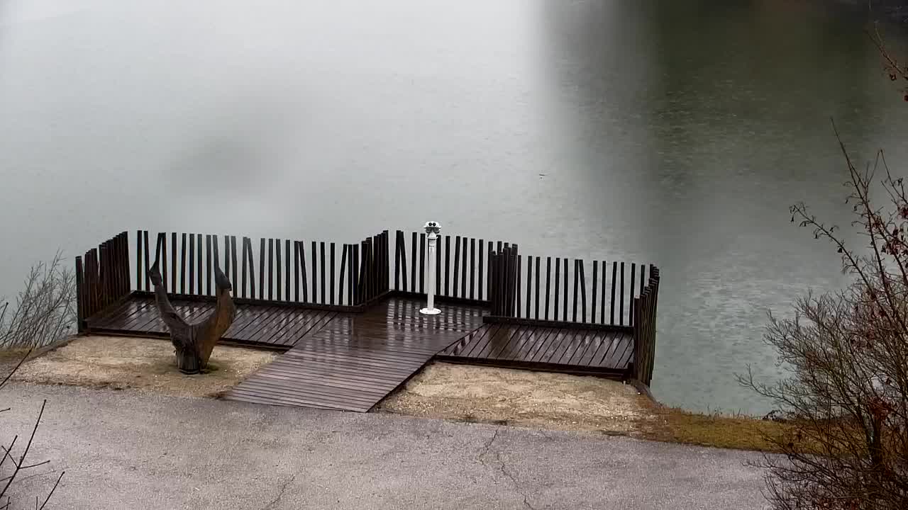 Webcam Ribnik Vrbje – Žalec