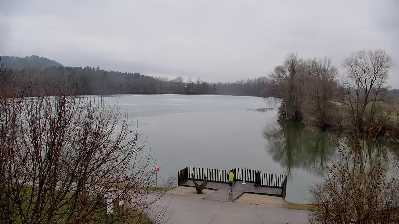 Webcam Ribnik Vrbje – Žalec