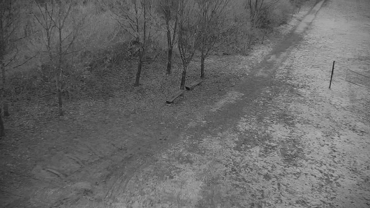 Webcam Ribnik Vrbje – Žalec