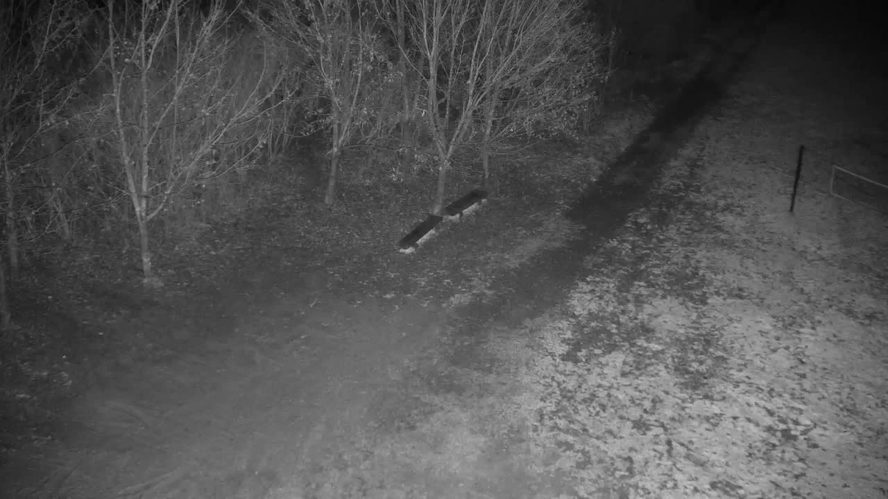 Webcam Ribnik Vrbje – Žalec