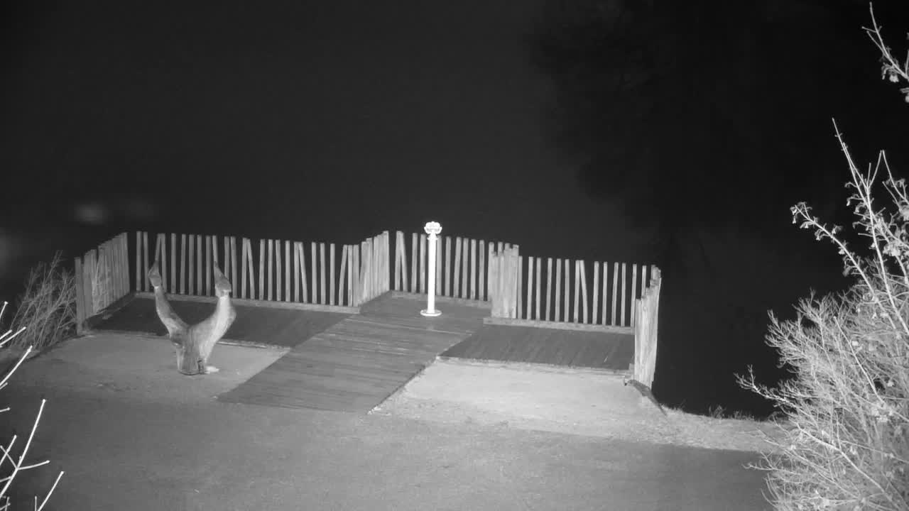 Webcam Ribnik Vrbje – Žalec