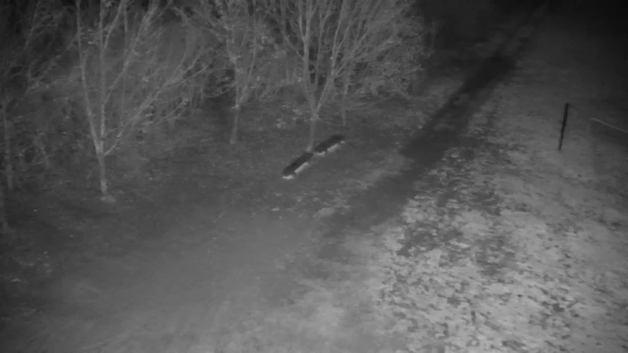 Webcam Ribnik Vrbje – Žalec