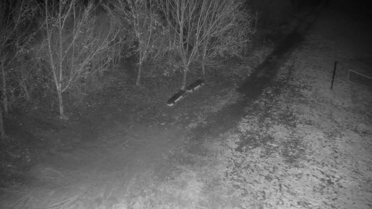 Webcam Ribnik Vrbje – Žalec