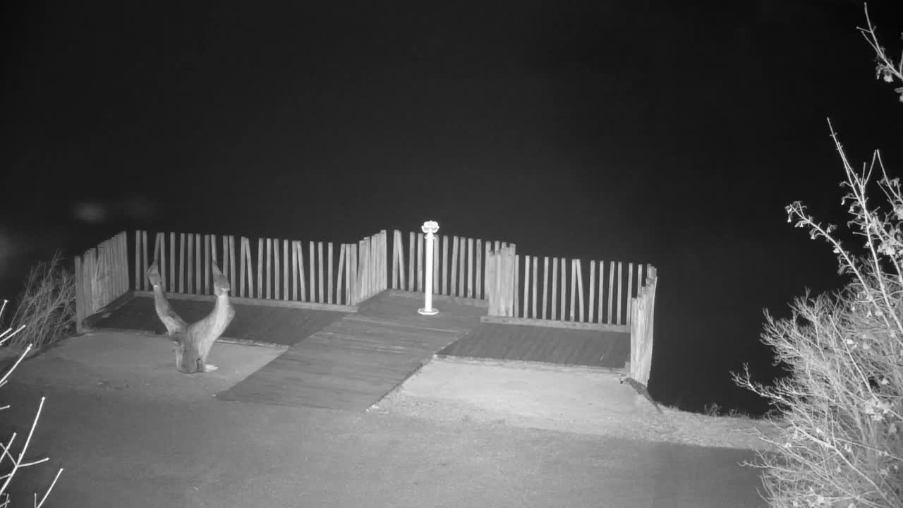 Webcam Ribnik Vrbje – Žalec