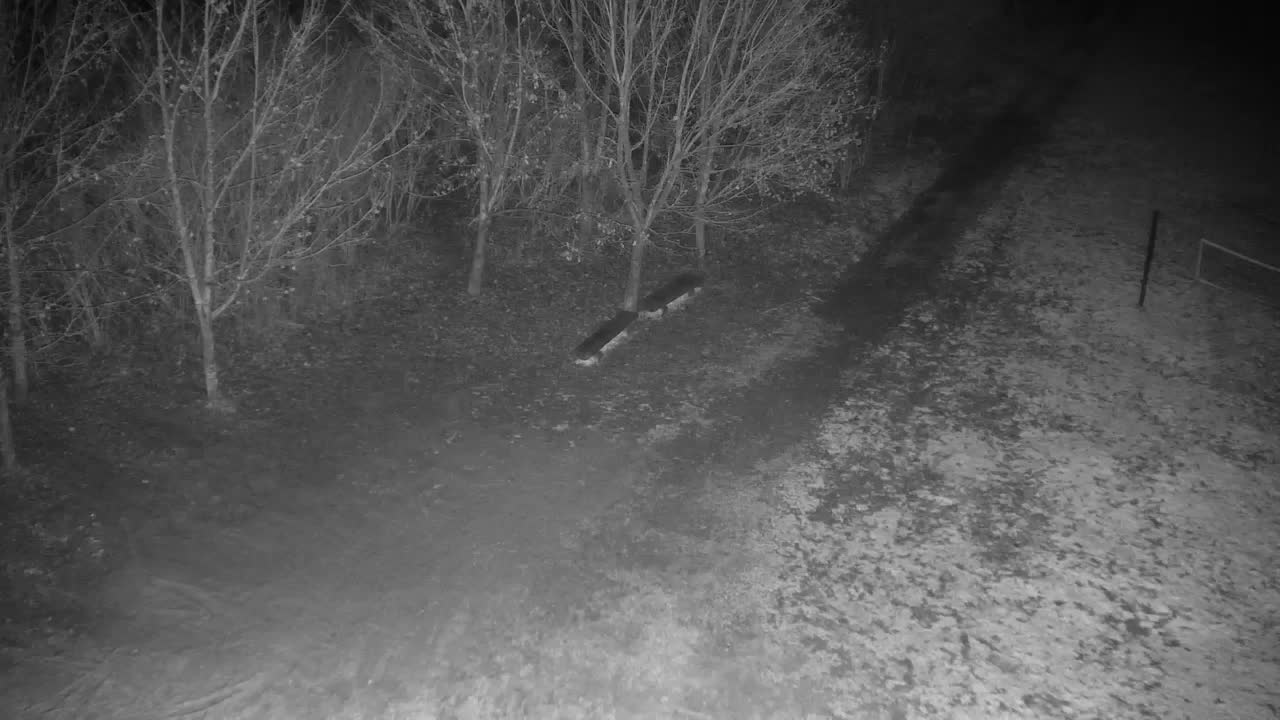 Webcam Ribnik Vrbje – Žalec