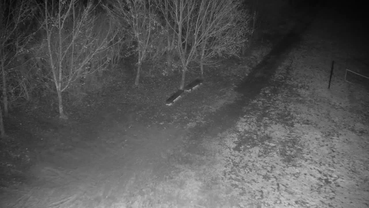 Webcam Ribnik Vrbje – Žalec