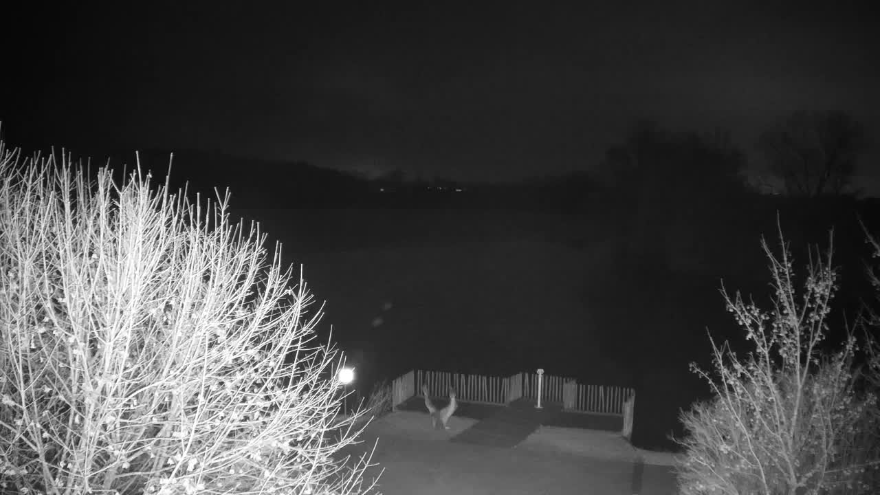 Webcam Ribnik Vrbje – Žalec