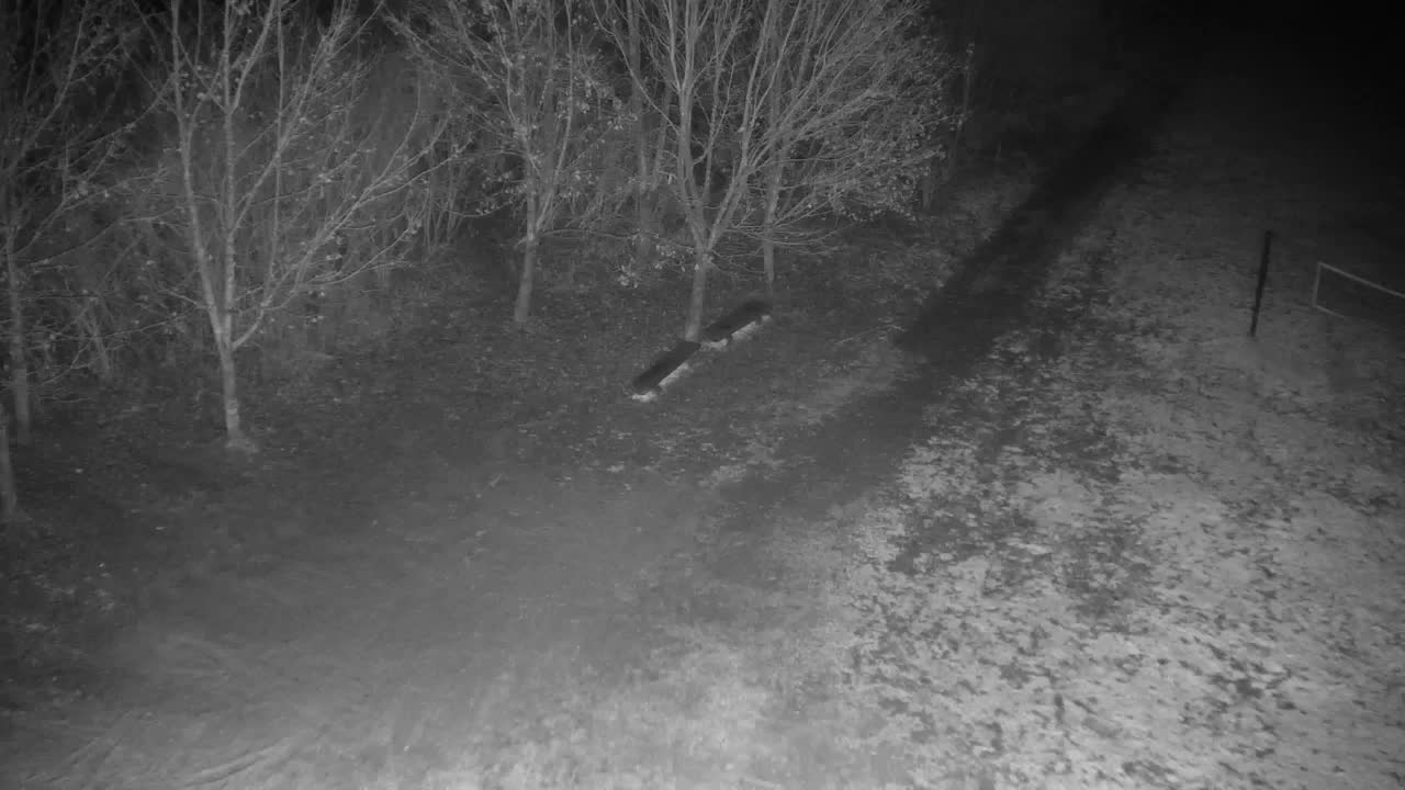 Webcam Ribnik Vrbje – Žalec