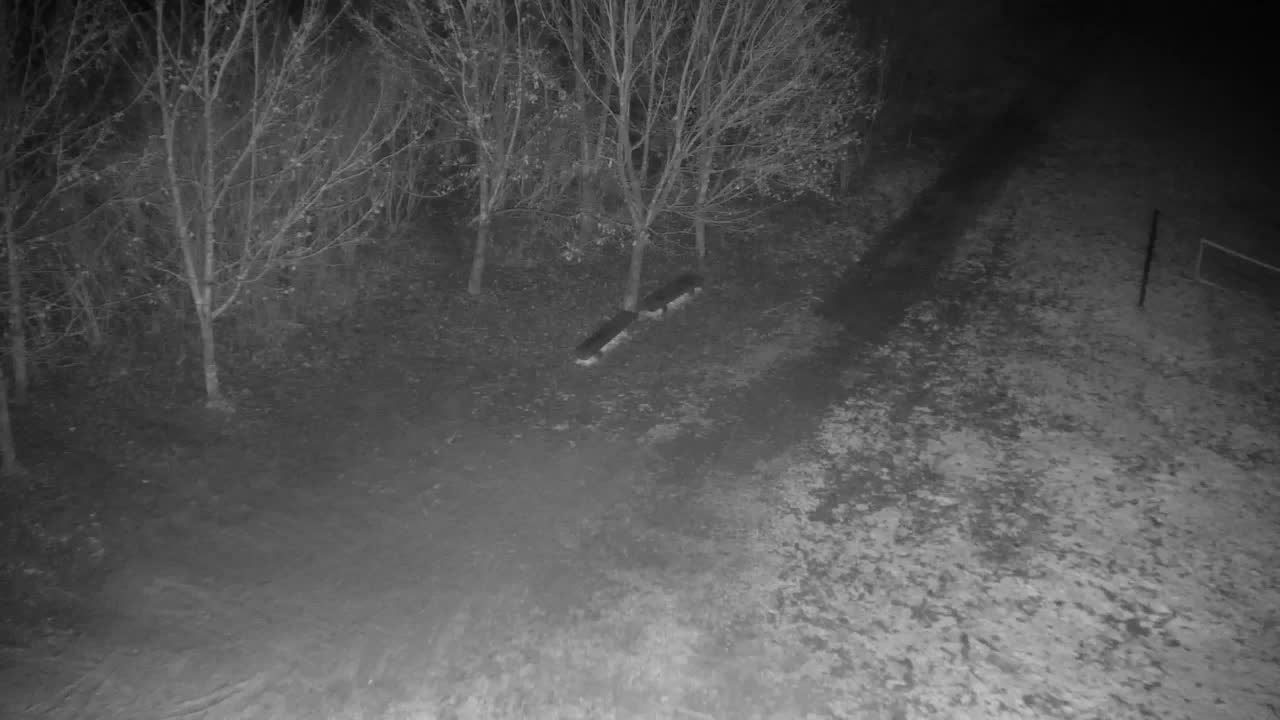 Webcam Ribnik Vrbje – Žalec