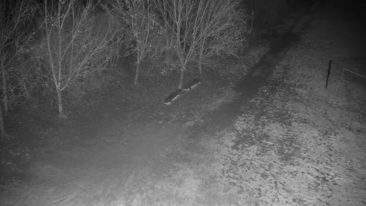 Spletna kamera Ribnik Vrbje – Žalec