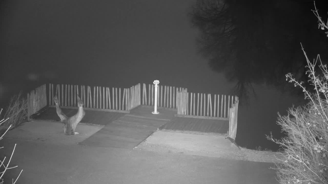 Webcam Ribnik Vrbje – Žalec